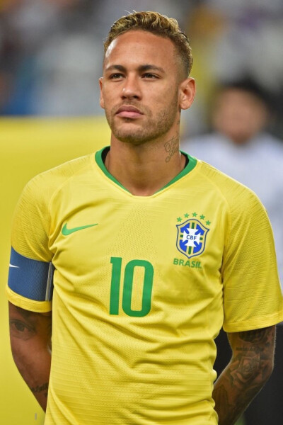 的惊人成就 的惊人成就