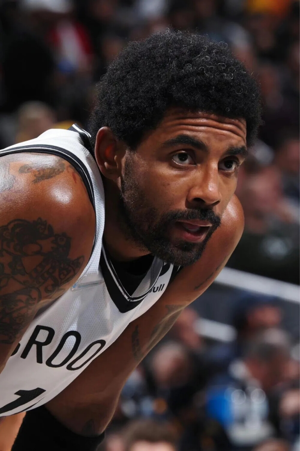 荣耀争夺战 荣耀争夺战