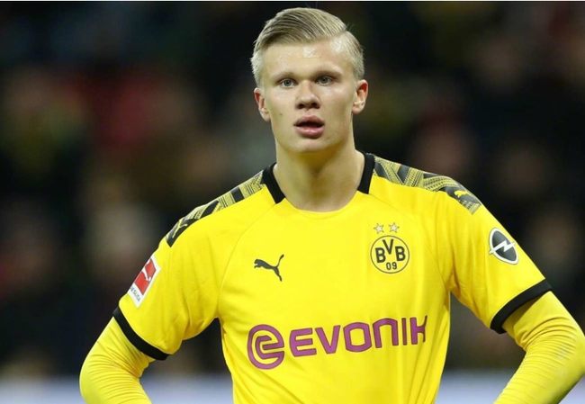 经验红利 经验红利